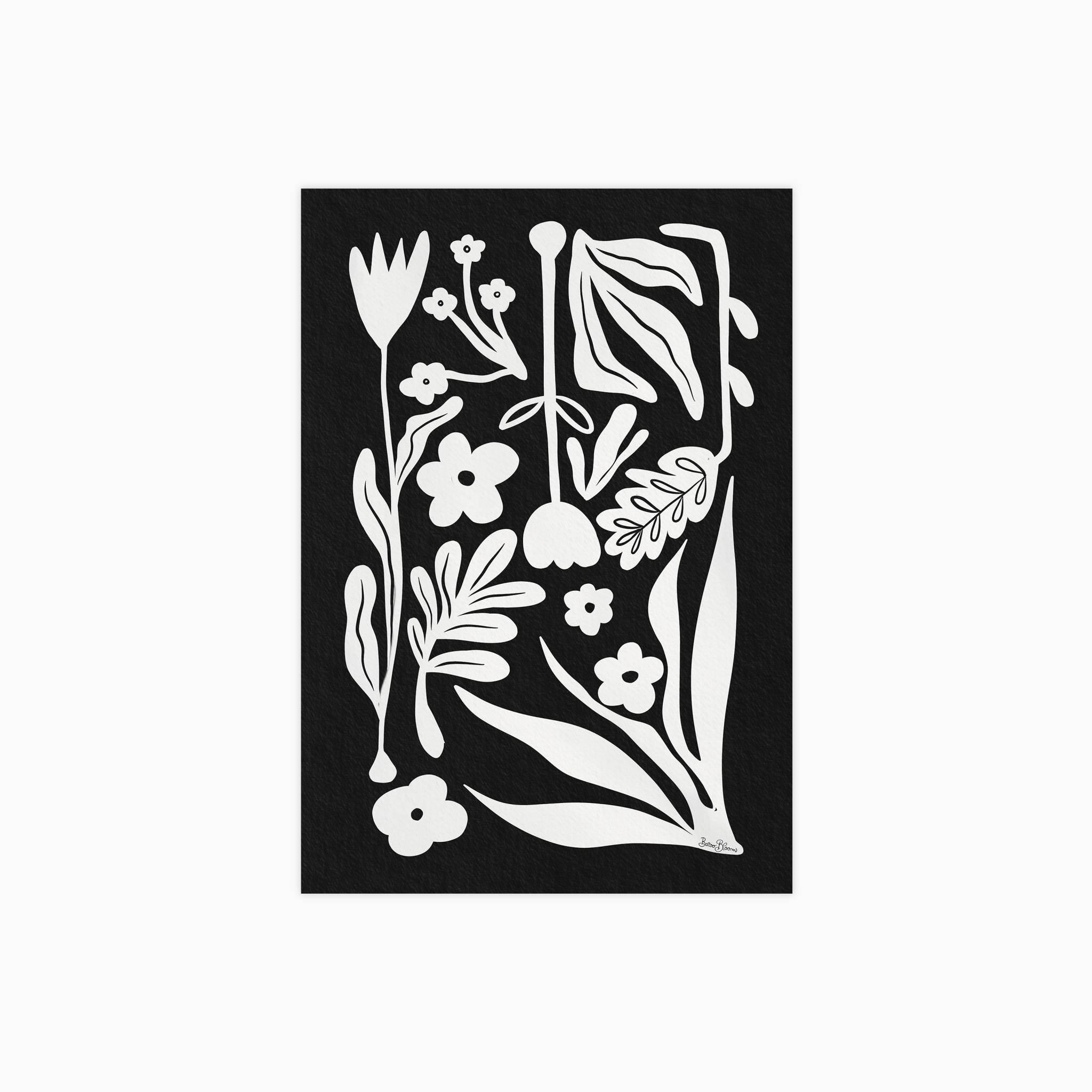 Black & White Botanicals Poster